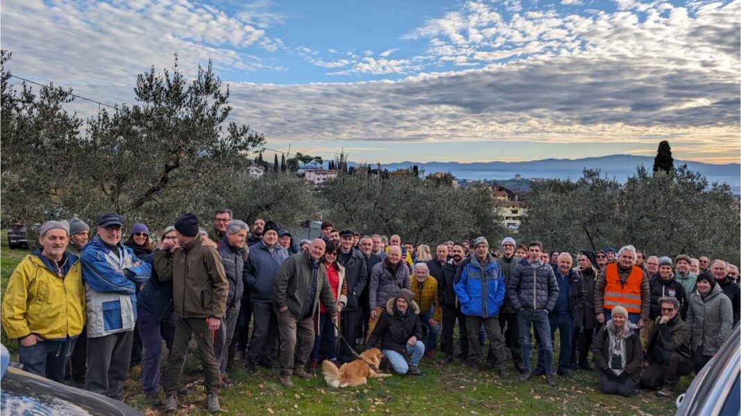 La carica dei potatori di olivi, in cento ad Arezzo